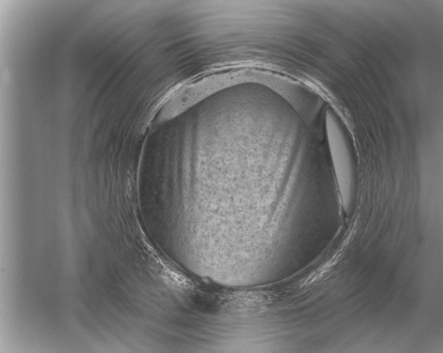 X0000052570993200507152247