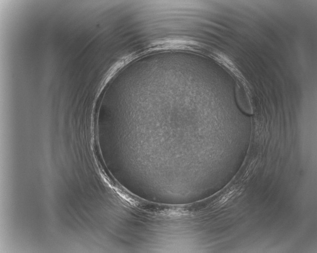 X0000052570994200507152247