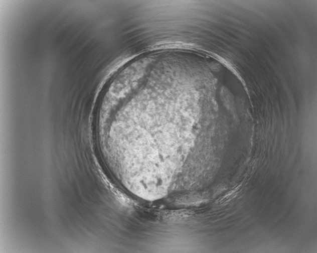 X0000052570995200507152247