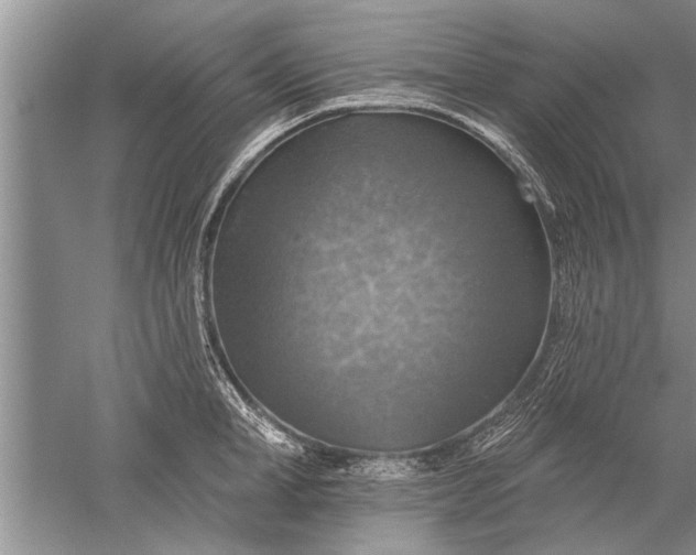 X0000052570998200507152247