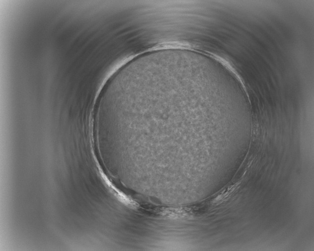 X0000052571003200507152247