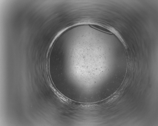 X0000052571004200507152247