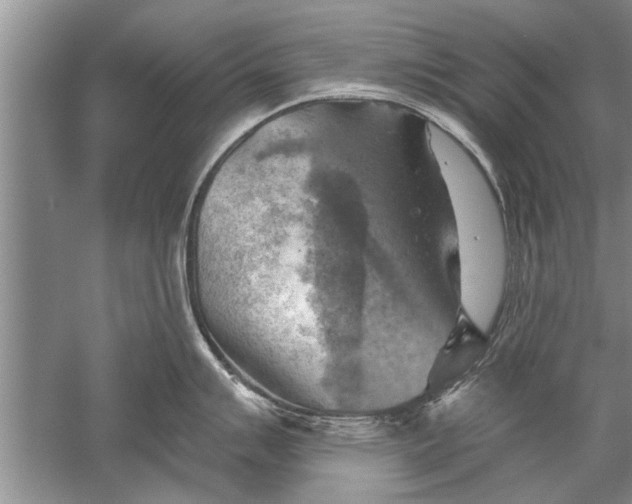 X0000052571007200507152247