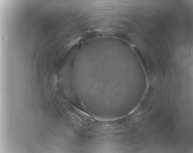 X0000052571010200507152246