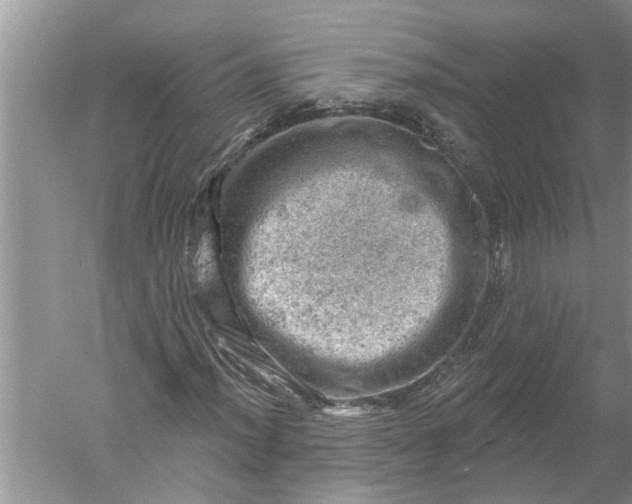 X0000052571012200507152246