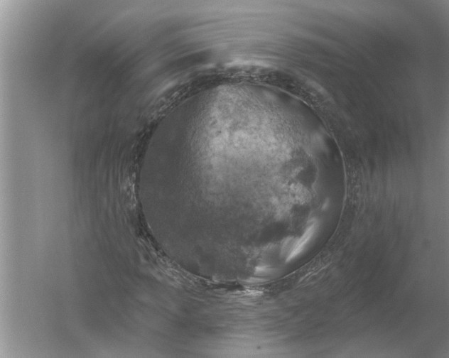 X0000052571013200507152246