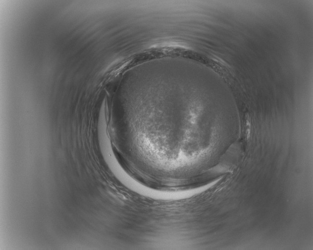 X0000052571014200507152246