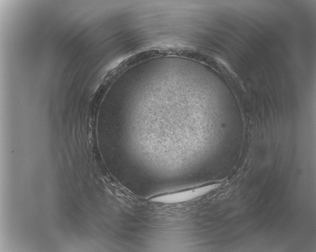 X0000052571016200507152246