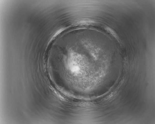 X0000052571018200507152246