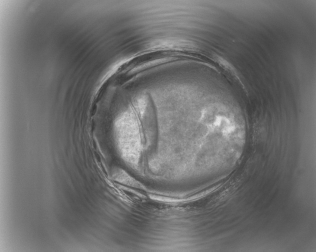 X0000052571019200507152246