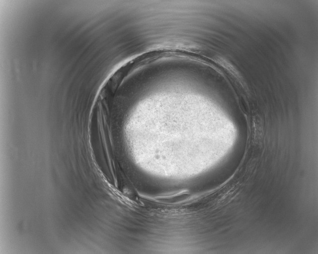 X0000052571020200507152246