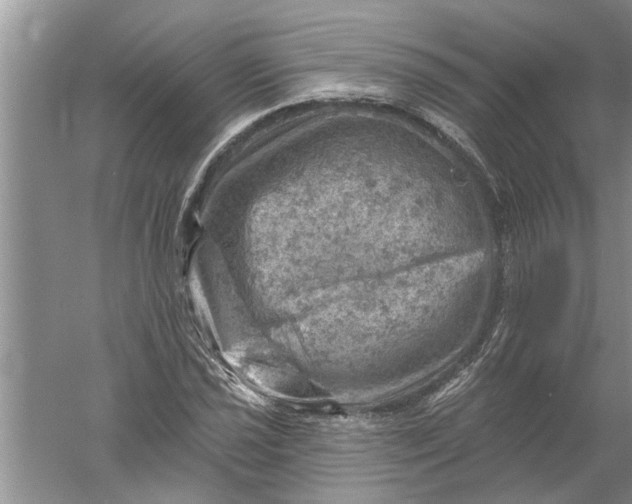 X0000052571021200507152246