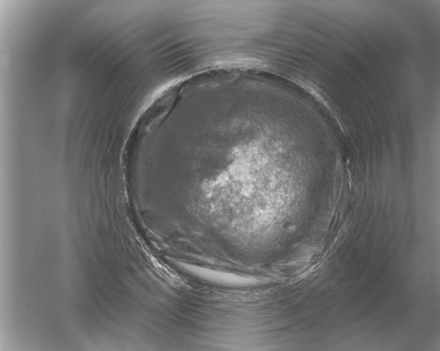 X0000052571022200507152246