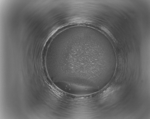 X0000052571023200507152246