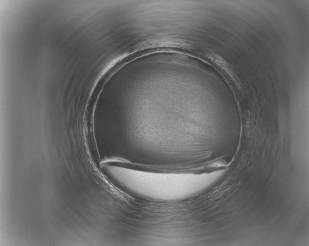 X0000052571024200507152246