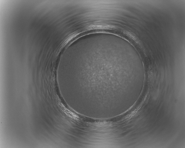 X0000052571025200507152247