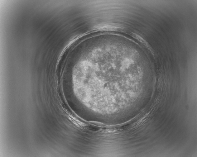 X0000052571027200507152247