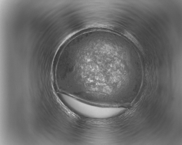 X0000052571028200507152247