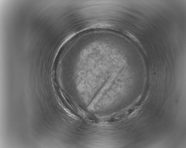 X0000052571029200507152247