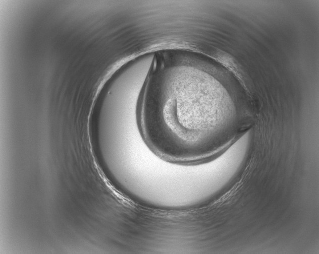 X0000052571030200507152247