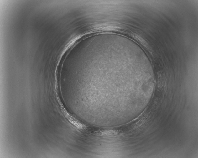 X0000052571031200507152247