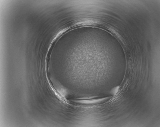 X0000052571034200507152247