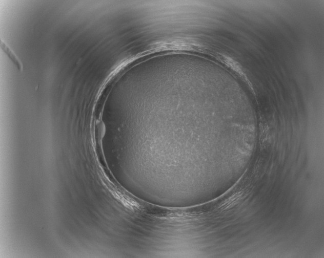 X0000052571035200507152247