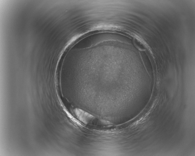 X0000052571037200507152247