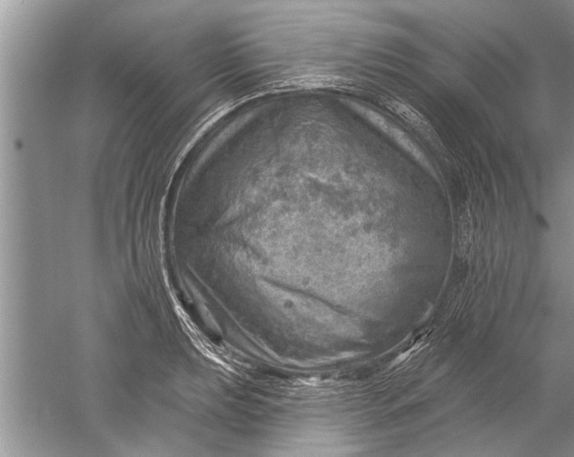 X0000052571039200507152247