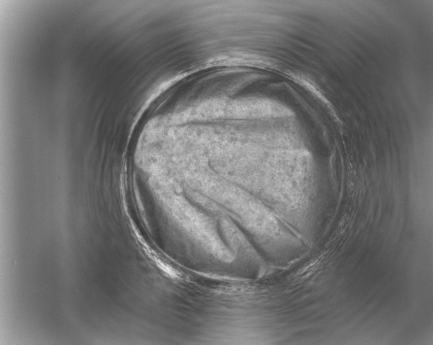 X0000052571040200507152247