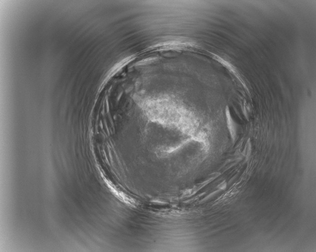 X0000052571042200507152247