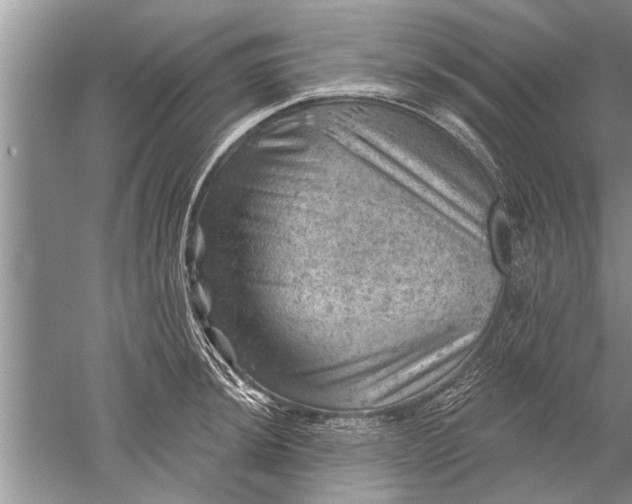 X0000052571044200507152247