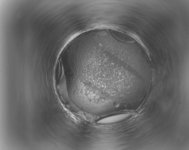 X0000052571048200507152247