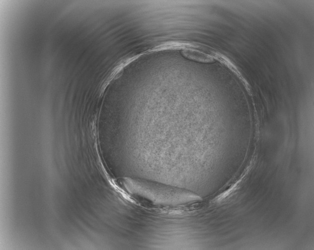 X0000052571049200507152247