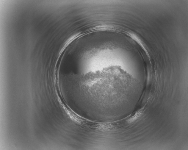 X0000052571050200507152247