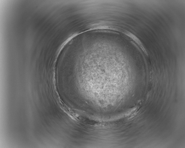 X0000052571051200507152247