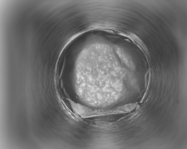 X0000052571052200507152247