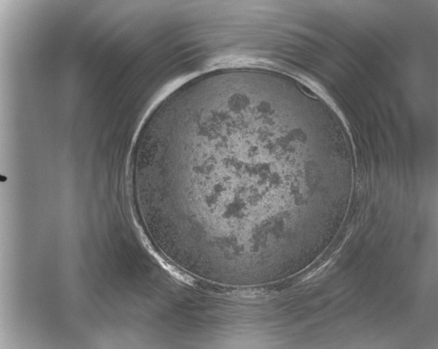 X0000052571053200507152247