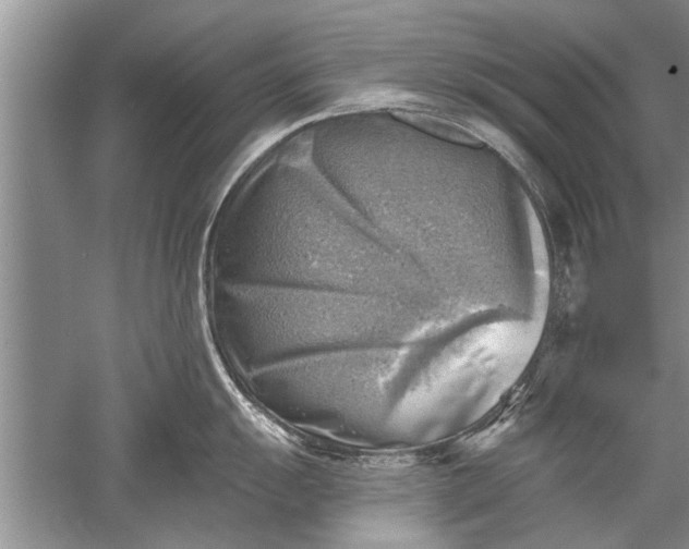 X0000052571055200507152247