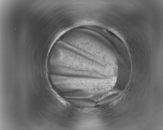 X0000052571056200507152247