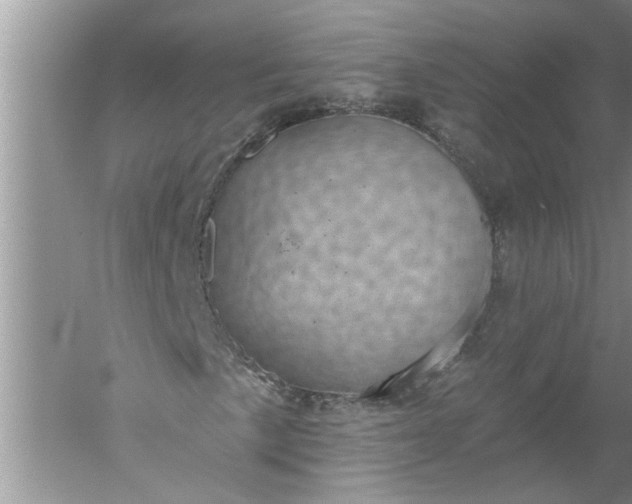 X0000052571057200507152246