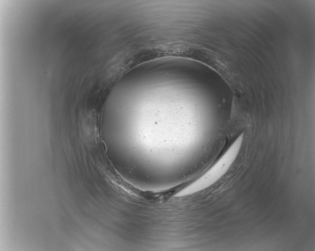 X0000052571058200507152246