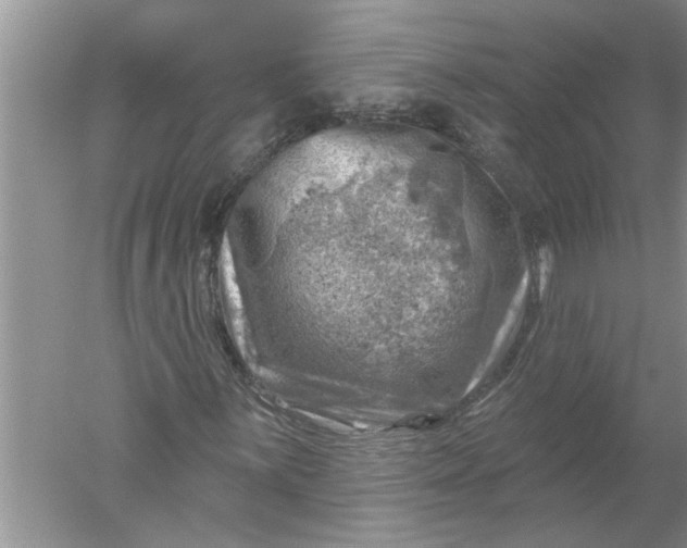 X0000052571059200507152246