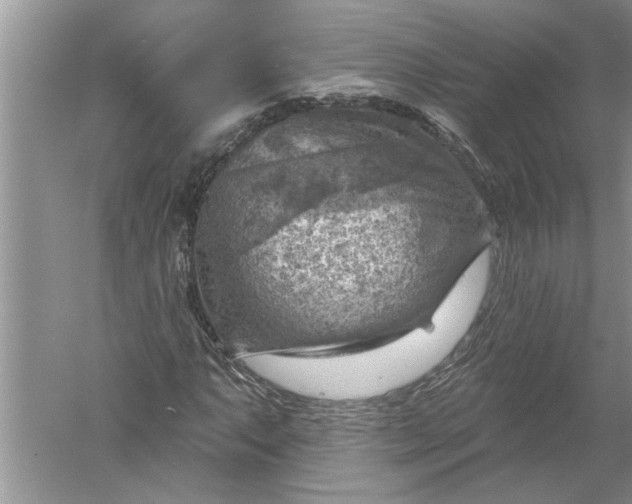 X0000052571063200507152246