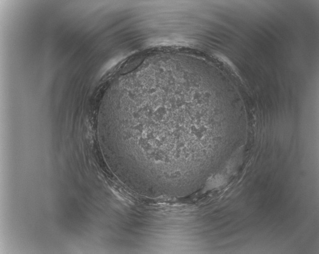 X0000052571064200507152246