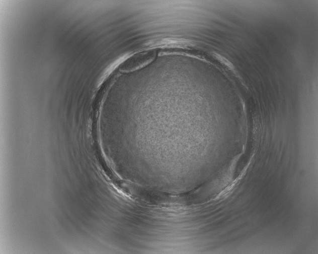 X0000052571066200507152246