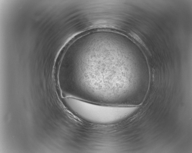 X0000052571068200507152246