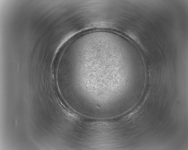 X0000052571070200507152246