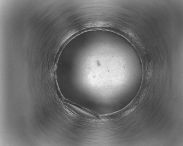 X0000052571073200507152246