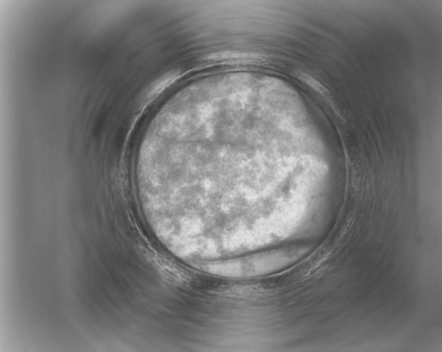 X0000052571074200507152246